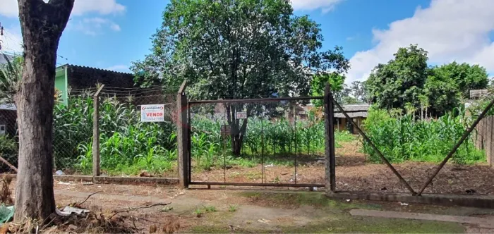 Terreno a venda no bairro Vila Morangueira