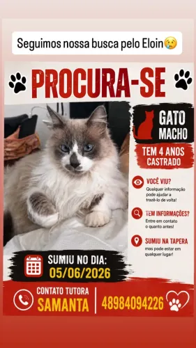 DESAPARECIDO