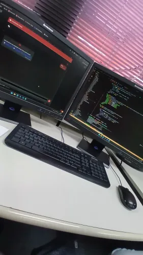Desenvolvedor de sistemas (sites, apps e banco de dados)