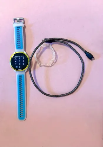 Garmin Forerunner 570