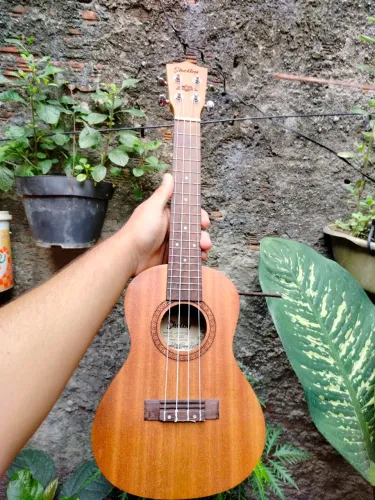 Ukulele Shelby concert su23M