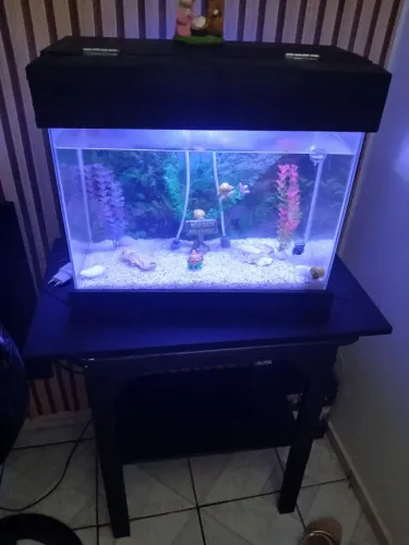 Vendo aquário com a mesa