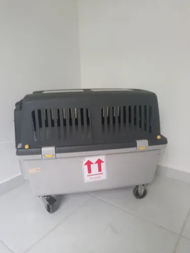 Caixa KENNEL de transporte de Pet.