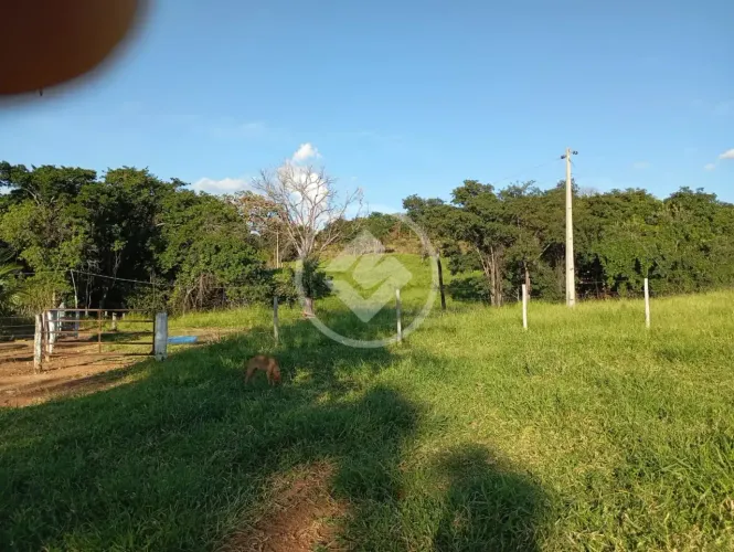 Pontalina - Fazenda de 21,2 Alqueires codigo: 293080