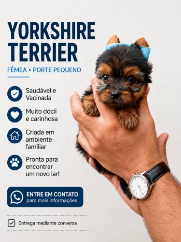 Yorkshire Macho
