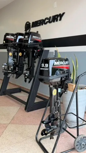 MERCURY 9.9 HP - NOVO