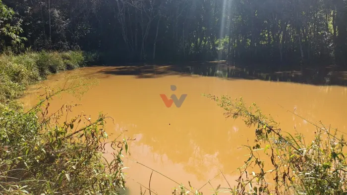 Chácara dos Sonhos em Araucária 24.300m de Natureza e Tranquilidade