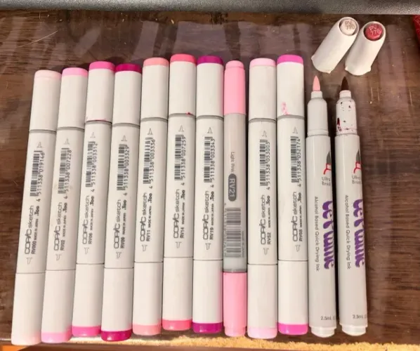 COPIC + LE PLUME - ROSAS - 12 CANETAS