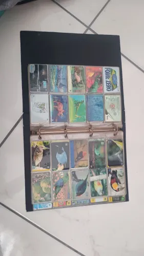 Coleção cartão telefônico incrível