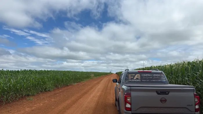 Fazenda no Paraguay 