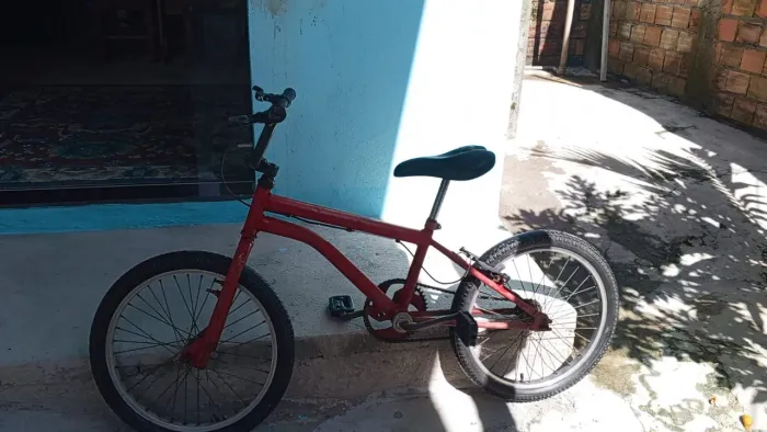 Bicicleta