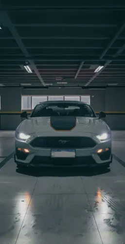 Ford Mustang Mach 1 5.0 V8 2021