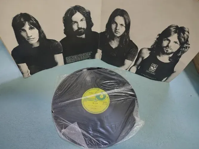 Vinil