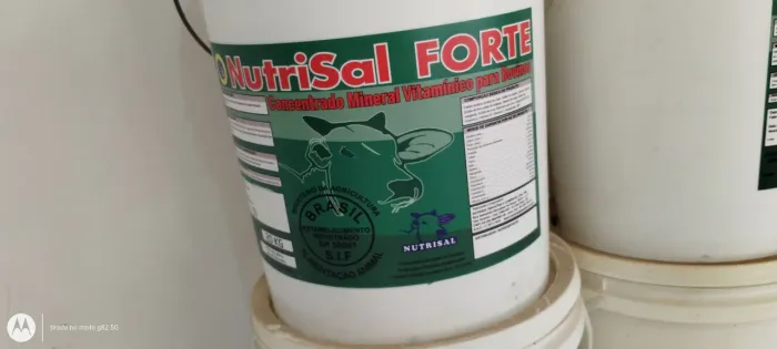 Sal Mineral 20 Kilos