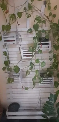 Nicho plantas, Jardineira Kit Para Flores Artesanal em Madeira e Ferro