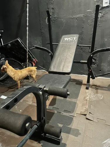 Banco para musculação com supino
