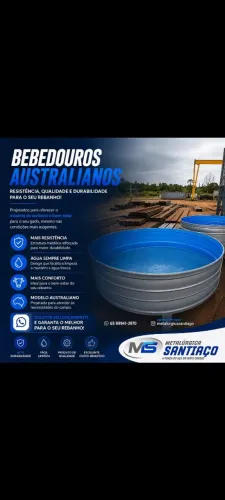 Bebedouros Australianos 