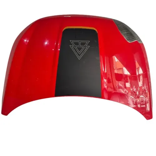 Capô FIAT Argo 2017 2018 2019 2020 2021 2022 2023 2024 2025 Original 27154