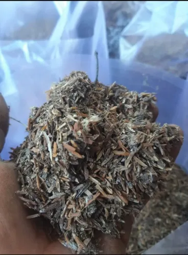 ESTERCO DE GALINHA COM PALHA DE ARROZ (CAMA DE FRANGO)