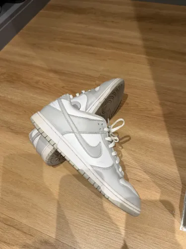 Nike Dunk Low Cinza