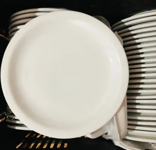 50 PRATOS DE JANTAR