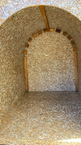 Casinha de cachorro(a)