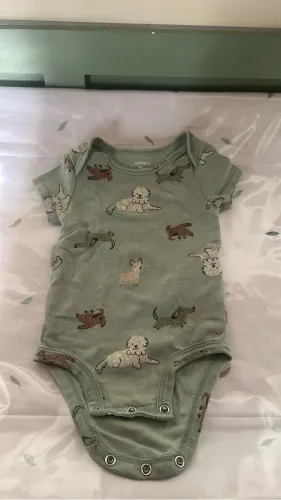 Body Carters