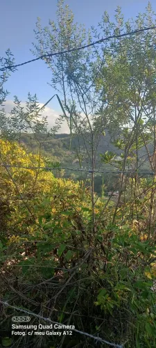 Chácara em taquaraçu de minas