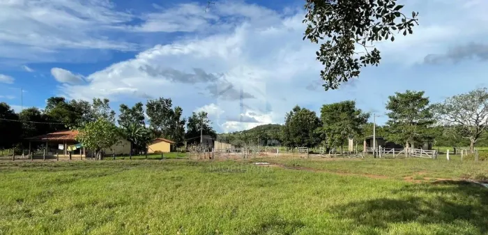 FAZENDA DUPLA APTIDÃO À VENDA REGIAO DE PEDRO AFONSO/TO