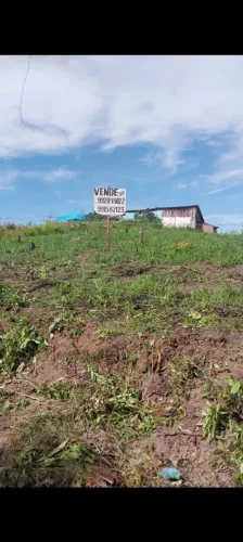 Vendo terreno 