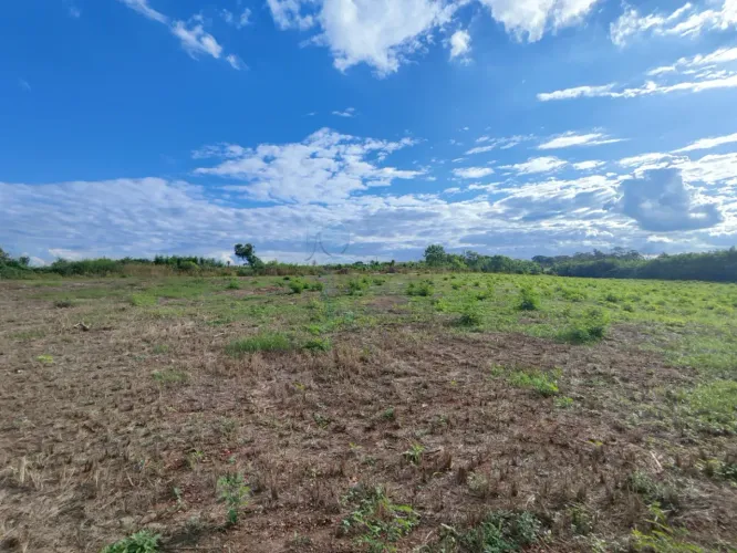 Área comercial com 37.556m² de terreno para locação e venda - Adelino Simioni