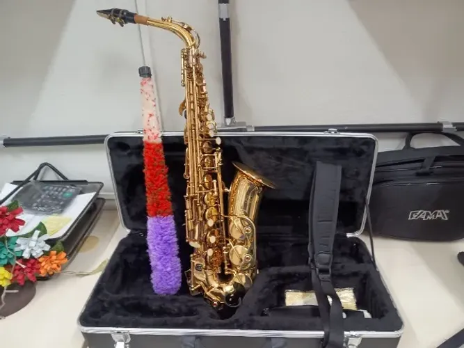 Saxofone alto marca Prince