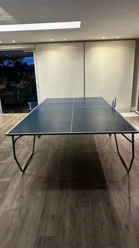 Mesa Ping Pong