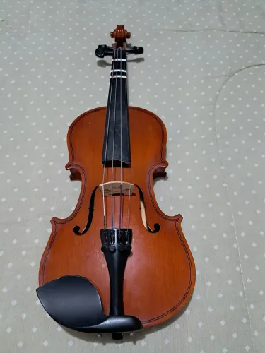Violino infantil 1/2 completo da Mavis comprado e regulado na Spalla.