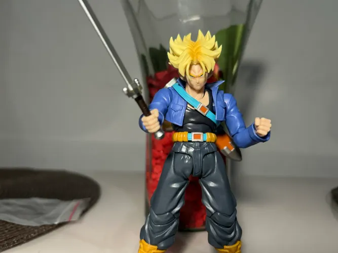 Trunks Shf
