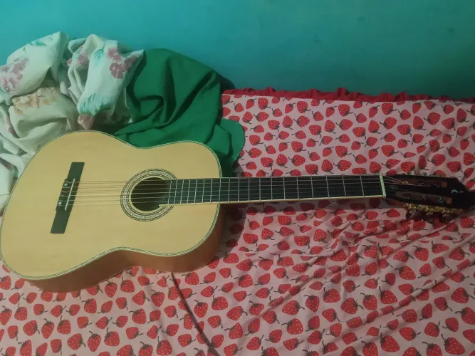 Violão Tagima pouco mês de uso