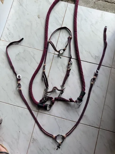 Arreios para cavalo