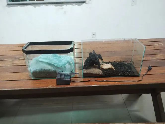 Aquarios