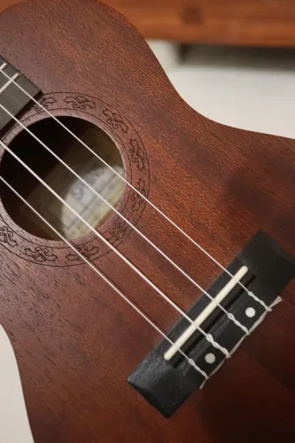Ukulele Spring