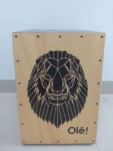 Cajon elétrico