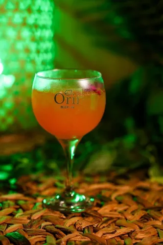 Drinks e Petiscos ( Mercado de São bras)