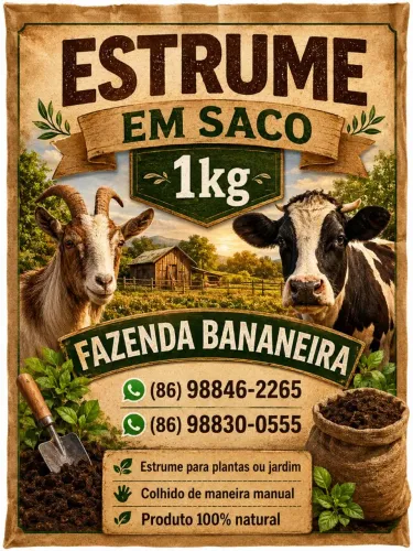 Estrume animal sem mistura