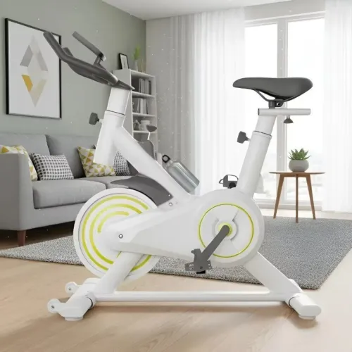 Bicicleta Ergometrica