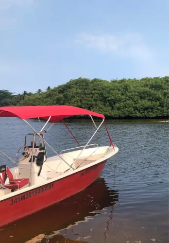 Lancha WR Fish 17 pés motor 50HP