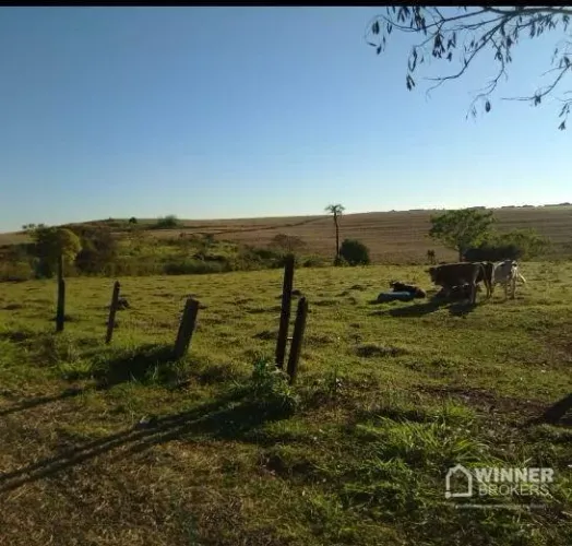Área à venda, 20000 m² por R$ 2.500.000,00 - Zauna - Maringá/PR