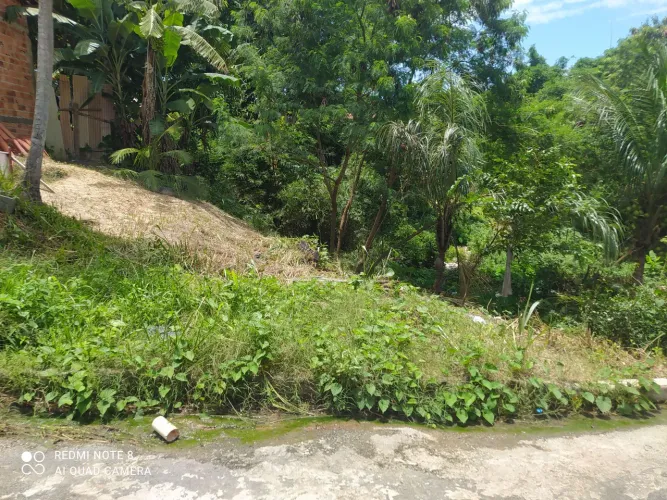 Negocio