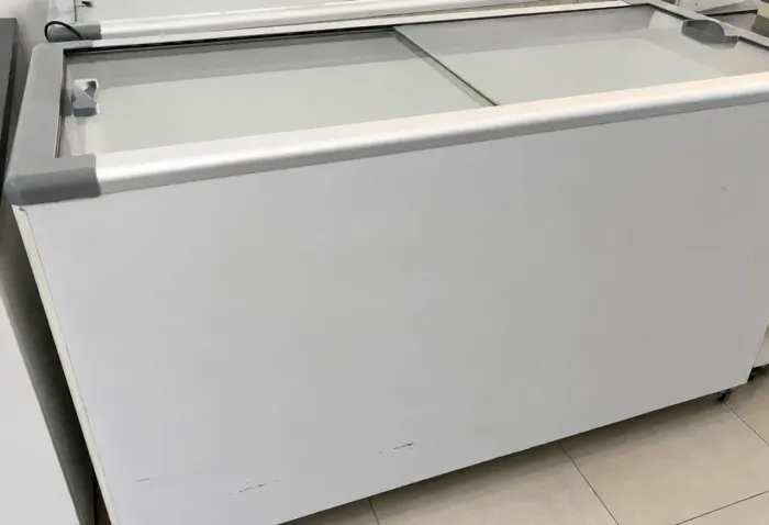 Freezer horizontal