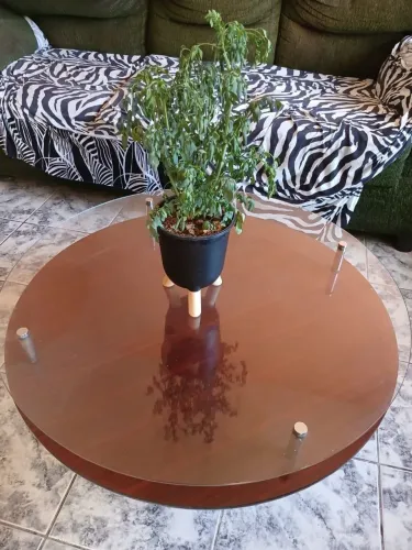 Mesa de Centro Redonda para Sala