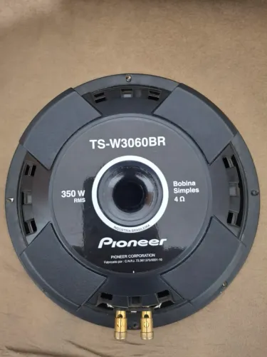 Falante Pionner TS-W3060BR