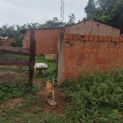 CASA MURADA 5 PEÇAS R$85.000,00 ESCRITURADA NO BAIRRO SÃO SIMÃO VG